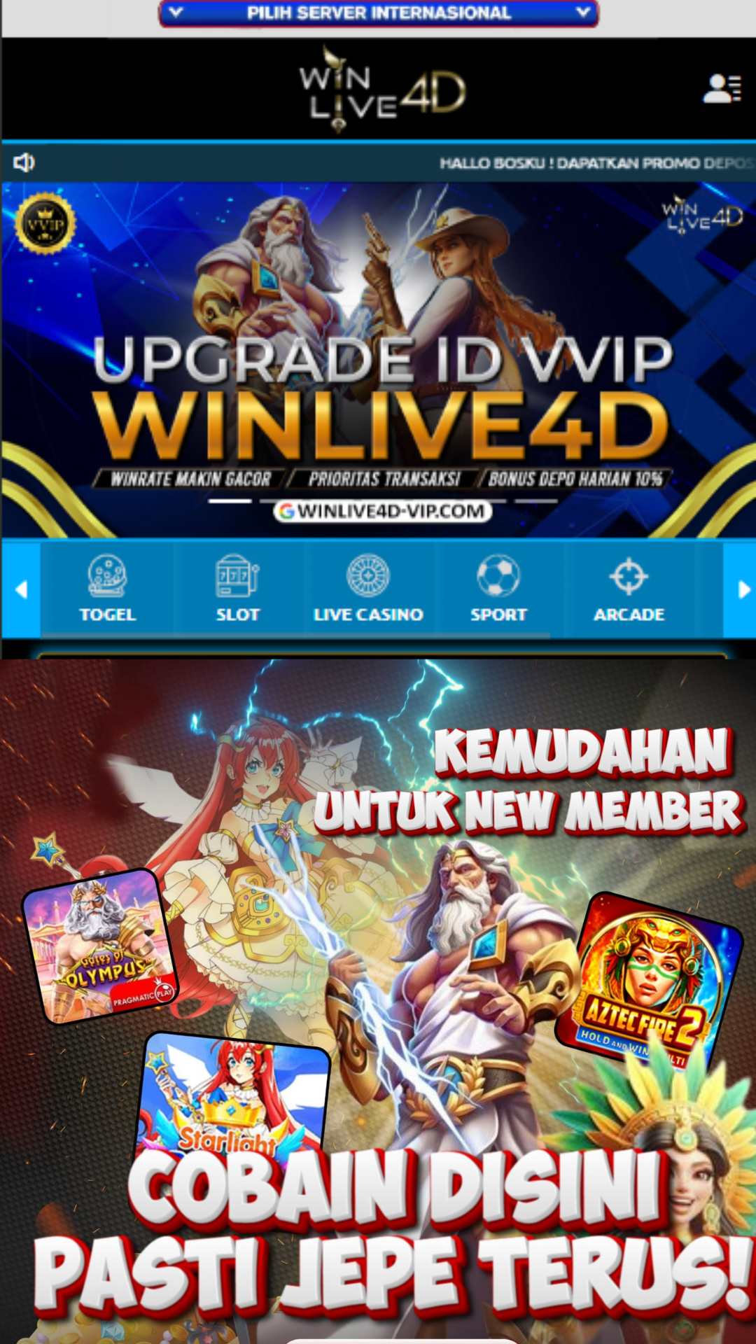 Promo